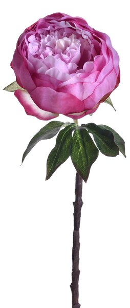 Set 6 Rami Artificiali Peonia H 48 cm