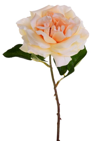 Set 6 Rose Artificiali Aperta H 50 cm