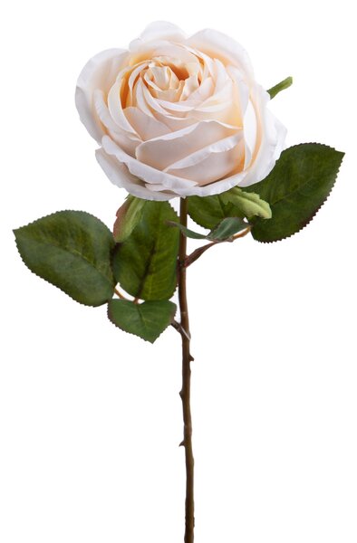 Set 6 Rose Artificiali Singola H 67 cm