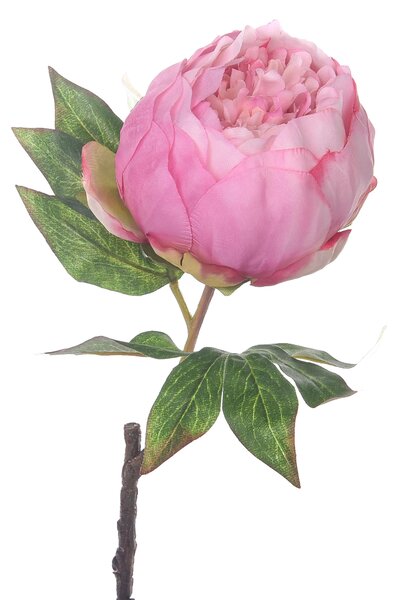 Set 6 Rami Artificiali Peonia H 48 cm