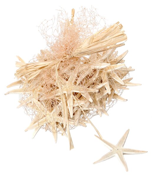 Set 600 Stelle Marine in Rete 25x35 cm