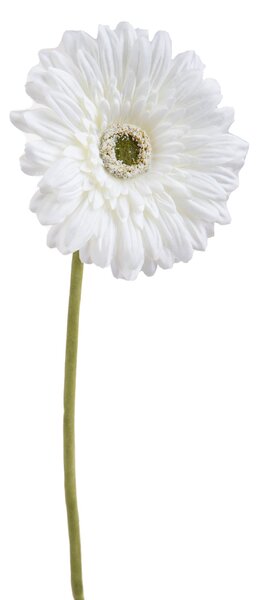Set 8 Fiori Artificiali di Gerbera Singolo H 62 cm