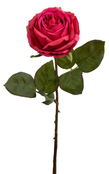 Set 6 Rose Artificiali Singola H 67 cm