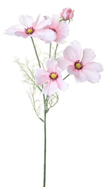 Set 8 Rami Artificiali Cosmos in Fiore per 5 H 68 cm