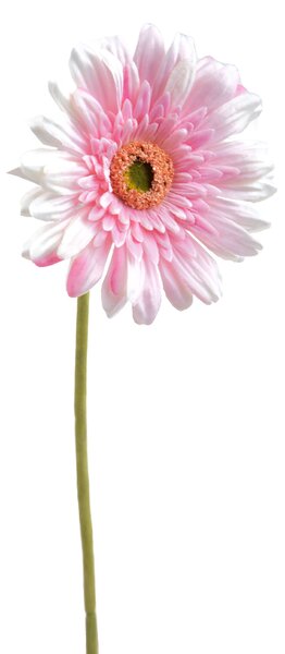Set 8 Fiori Artificiali di Gerbera Singolo H 62 cm