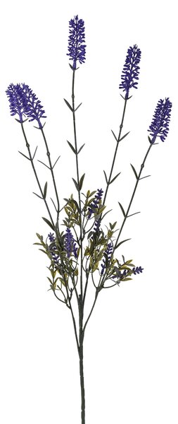Set 8 Lavanda con 5 Fiori H 79 cm