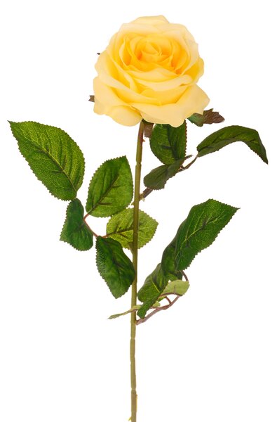 Set 8 Rose Artificiali Singola H 67 cm