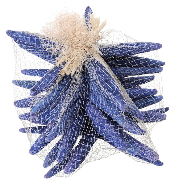 Stelle Marine Colorate 10 Pz 15x20 cm