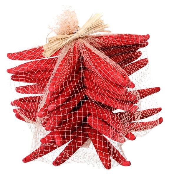 Stelle Marine Colorate 10 Pz 15x20 cm