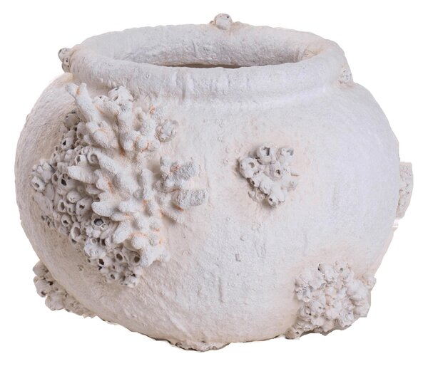 Vaso Conchiglie e Coralli Ø 56x39 cm