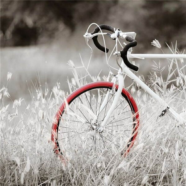 Quadro Dipinto con Bicicletta Rossa 60x60 cm in Tela Multicolor