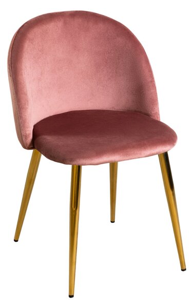 Set 4 Sedie Imbottite 38x43x74 cm in Vellluto Velvet Bronzo e Oro