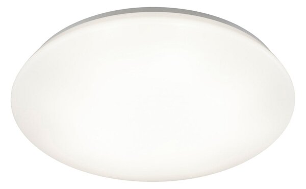 Plafoniera da Interno a LED in Plastica Bianco