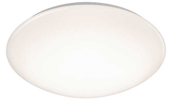 Plafoniera da Interno a LED in Plastica Bianco