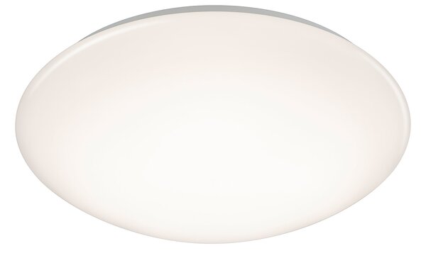 Plafoniera da Interno a LED in Plastica Bianco