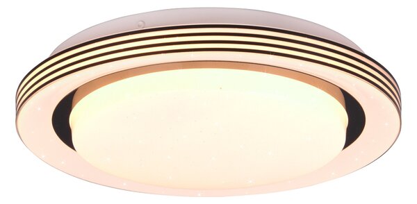 Plafoniera da Interno a LED in Plastica Nero Opaco