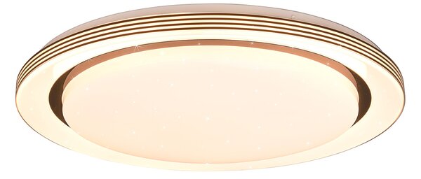 Plafoniera da Interno a LED in Plastica Nero Opaco