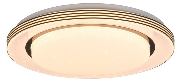 Plafoniera da Interno a LED in Plastica Nero Opaco