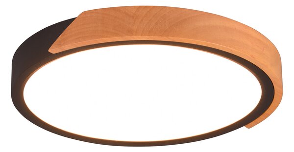 Plafoniera da Interno a LED in Plastica Nero Opaco