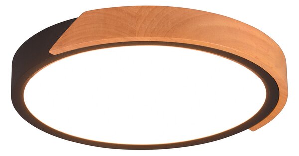 Plafoniera da Interno a LED in Plastica Nero Opaco