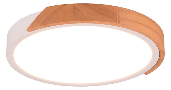 Plafoniera da Interno a LED in Plastica Bianco Opaco