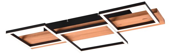 Plafoniera da Interno a LED in Metallo Nero Opaco