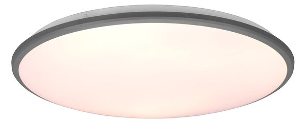 Plafoniera da Interno a LED in Plastica Titanio