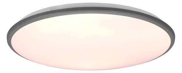 Plafoniera da Interno a LED in Plastica Titanio