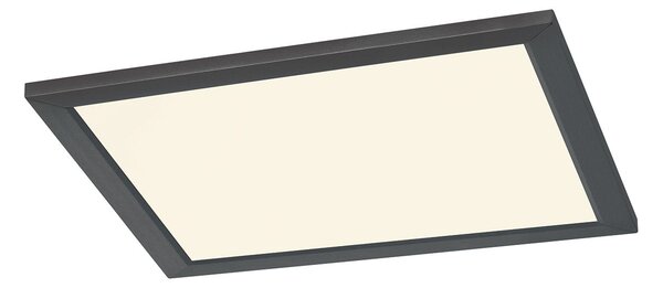 Plafoniera da Interno a LED in Metallo Nero Opaco