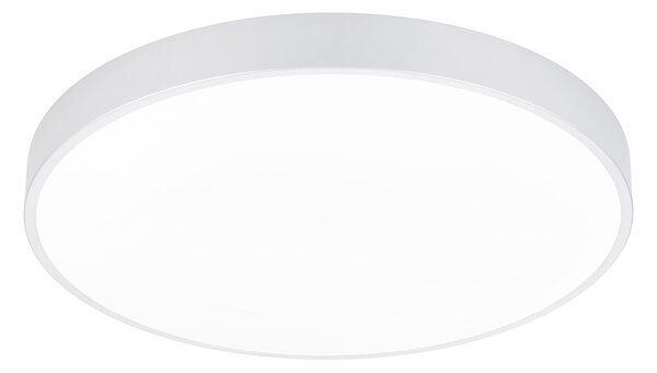 Plafoniera da Interno a LED in Metallo Bianco Opaco