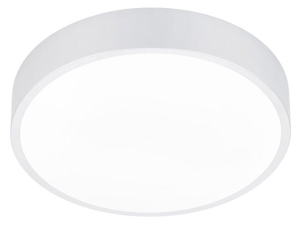 Plafoniera da Interno a LED in Metallo Bianco Opaco