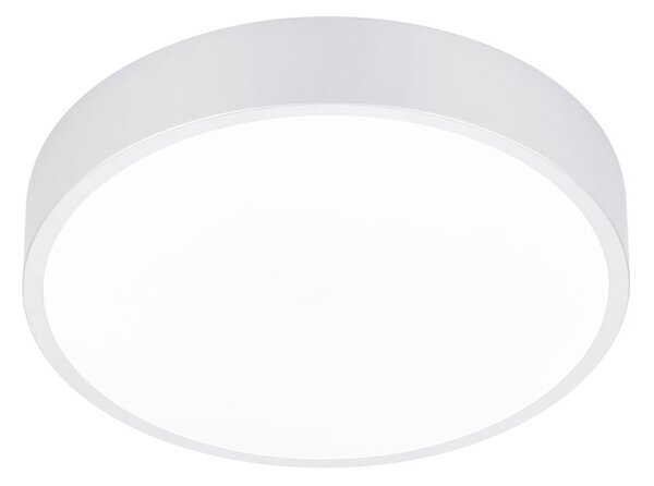 Plafoniera da Interno a LED in Metallo Bianco Opaco