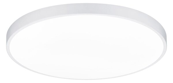 Plafoniera da Interno a LED in Metallo Bianco Opaco
