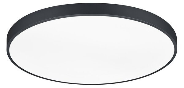 Plafoniera da Interno a LED in Metallo Nero Opaco