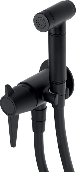 Concealed bidet tap with Bidetta handset