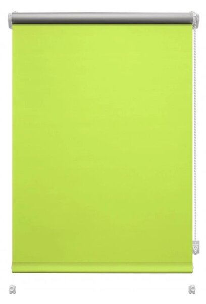 Tenda a pacchetto verde chiaro 72,5x150 cm Mini Termo – Gardinia
