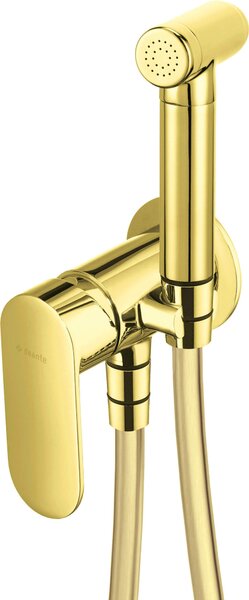 Concealed bidet mixer with bidetta shower head