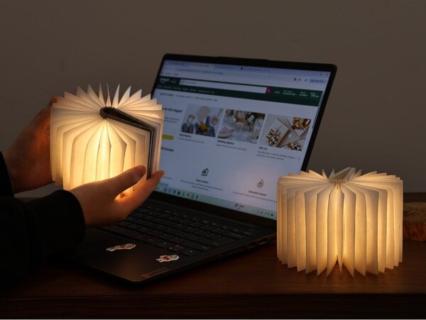 Decorazione luminosa bianca con ricarica USB portatile BookLight – Gingko