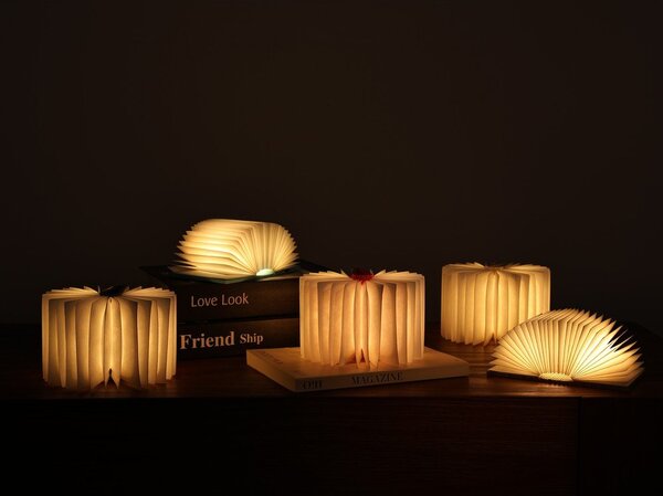 Decorazione luminosa bianca con ricarica USB portatile BookLight – Gingko