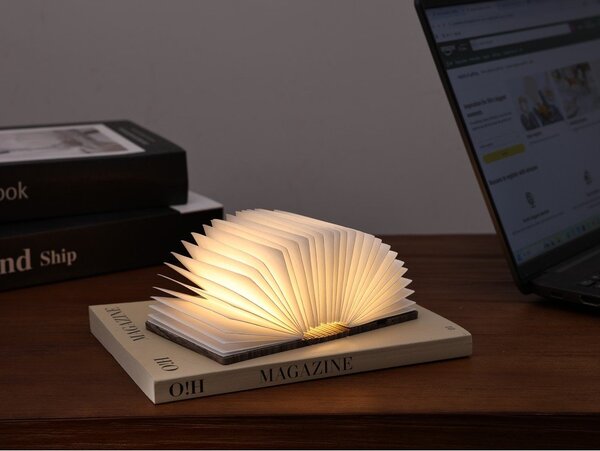 Decorazione luminosa bianca con ricarica USB portatile BookLight – Gingko