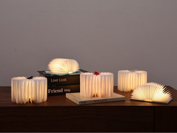 Decorazione luminosa bianca con ricarica USB portatile BookLight – Gingko