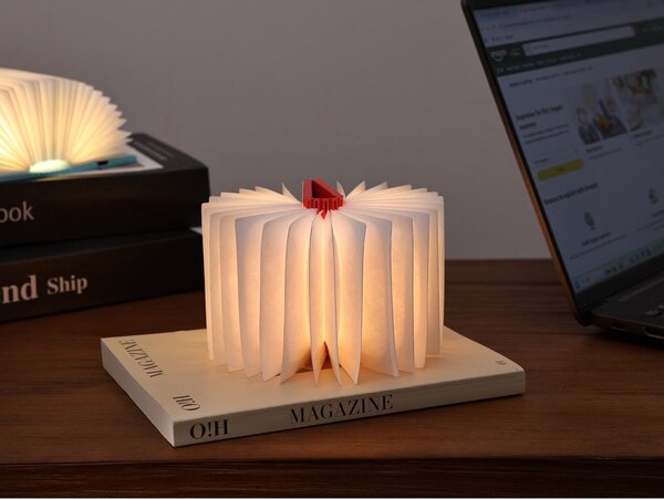 Decorazione luminosa bianca con ricarica USB portatile BookLight – Gingko