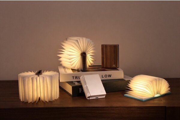 Decorazione luminosa bianca con ricarica USB portatile BookLight – Gingko