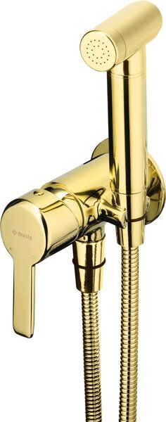 Concealed bidet mixer with bidetta shower head