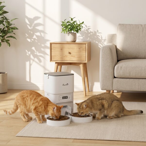 PawHut Mangiatoia Automatica 4L, Distributore Cibo per Gatti/Cani, 1-6 Pasti al Giorno, 2 Ciotole Doppia Alimentazione, 33x30,5x30 cm, Bianco | Aosom Italy