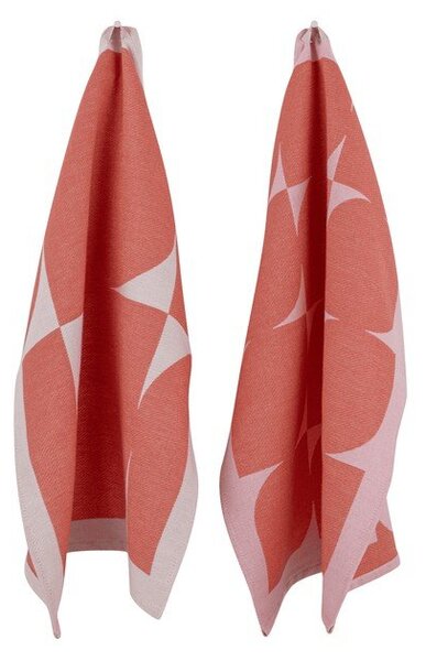 Set di strofinacci in cotone 2 pz 50x63 cm Abi – noo.ma
