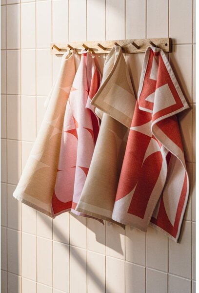 Set di strofinacci in cotone 2 pz 50x63 cm Abi – noo.ma