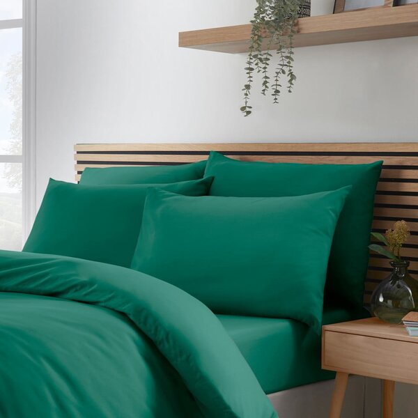 Federe per cuscino in set 4 pz 50x75 cm So Soft Non-Iron – Catherine Lansfield