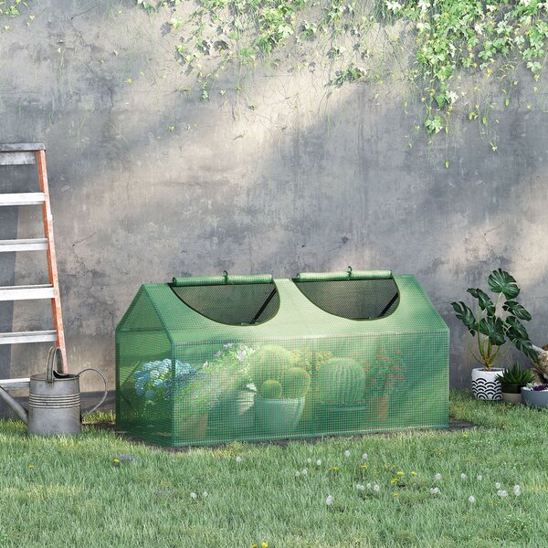 Serra da Giardino 120x60x60 cm con Copertura in PE Verde