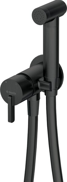 Concealed bidet mixer with bidetta shower head